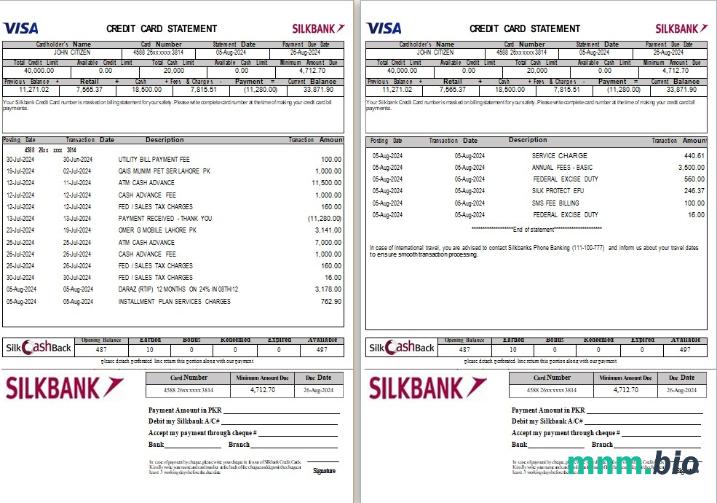 Pakistan Silkbank oświadczenie słowo i PDF szablon scr